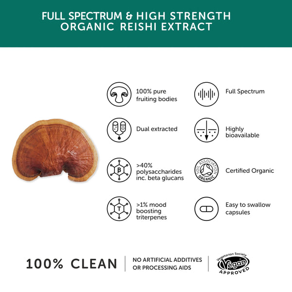 Infografik zu Herstellung, Ursprung, Inhalt und Anwendung der Kapseln mit Reishi-Pilz-Extrakt