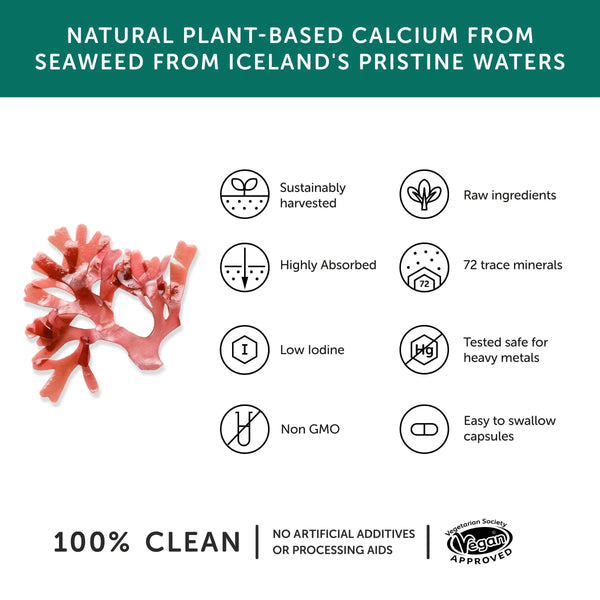 Infografik zur Beschreibung von Herstellung, Ursprung und Anwendung der Kapseln mit Calcium aus Seealgen