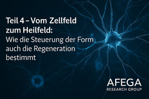 Vom Zellfeld zum Heilfeld: Wie die Steuerung der Form auch die Regeneration bestimmt