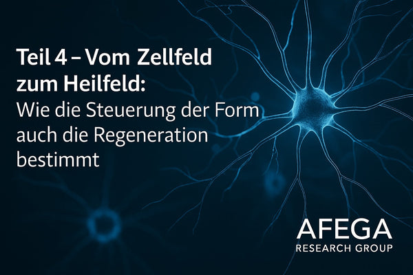 Vom Zellfeld zum Heilfeld: Wie die Steuerung der Form auch die Regeneration bestimmt