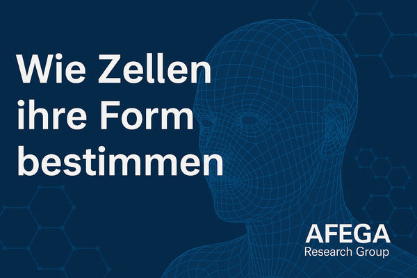 Wie Zellkollektive „entscheiden“ – ganz ohne Gene (Teil 2 der Reihe: Bioelektrik, Resonanz und das Altern anders denken)