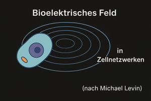 Zellfelder, Energie und Epigenetik - Das unsichtbare Orchester der Zelle