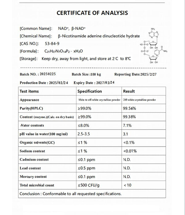 Infusión de 100 mg de NAD+ (β-nicotinamida adenina dinucleótido; CAS 53-84-9) - ¡Devoluciones excluidas! - Importado